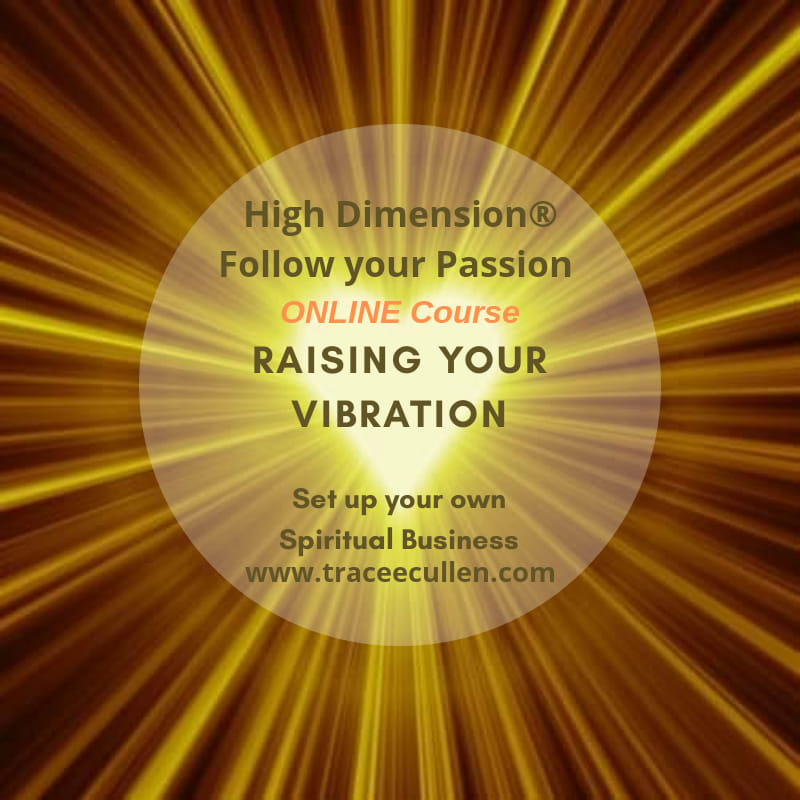 Follow your passion business course