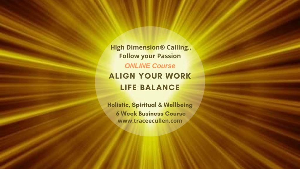 Holistic business course