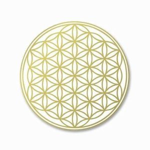 Awakened Inner Circle