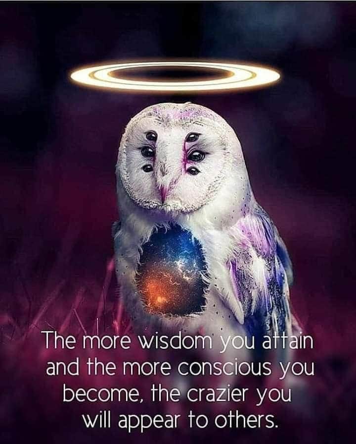 Trust yourself..