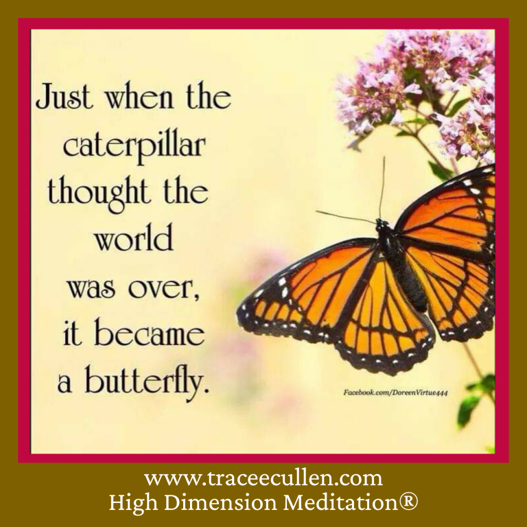 Emerge & Fly..