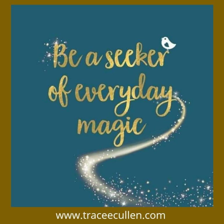 Seek the magic..
