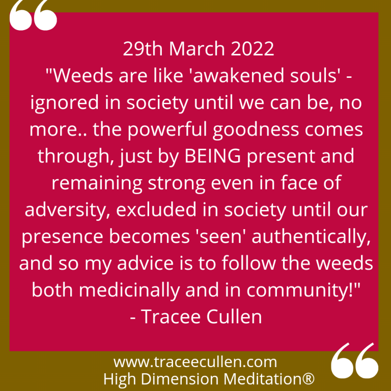 Weeds are like ‘awakened souls’..