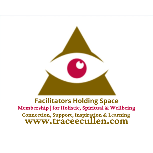Facilitators Holding Space Training