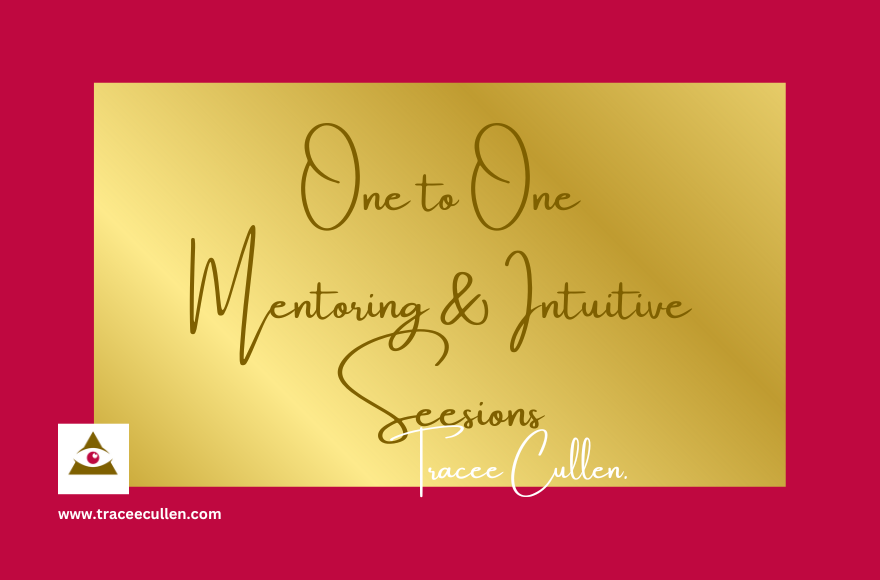 One to One mentoring Tracee Cullen