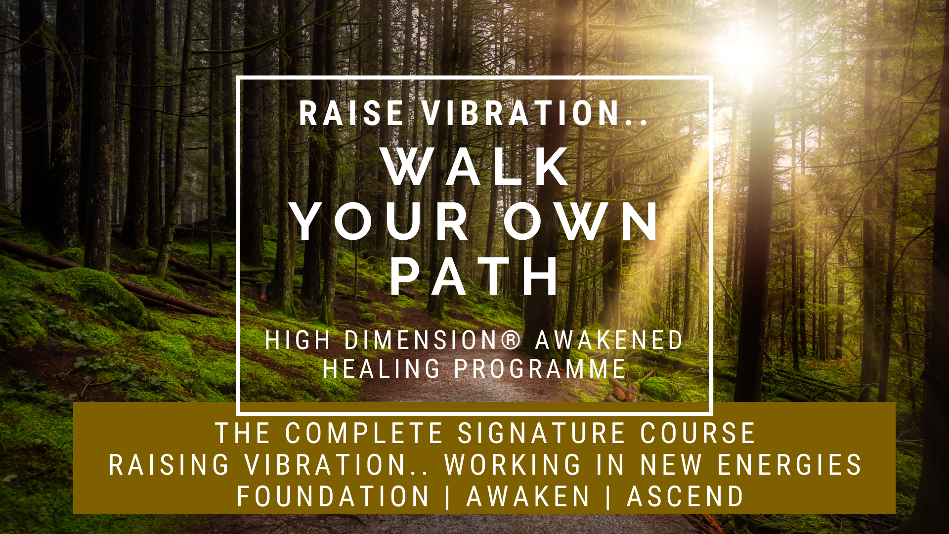 High Dimension® Awaken & Healing Programme