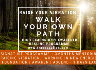 High Dimension Awakened Healing Programme