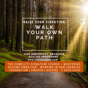 High Dimension Awaken & Healing Programme