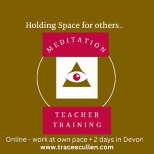 Meditation Teacher Training - Online + 2 days in Devon