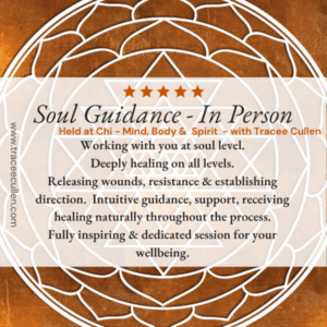 Soul Guidance one to one session