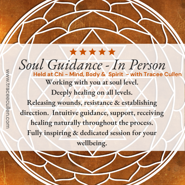 Soul Guidance one to one session